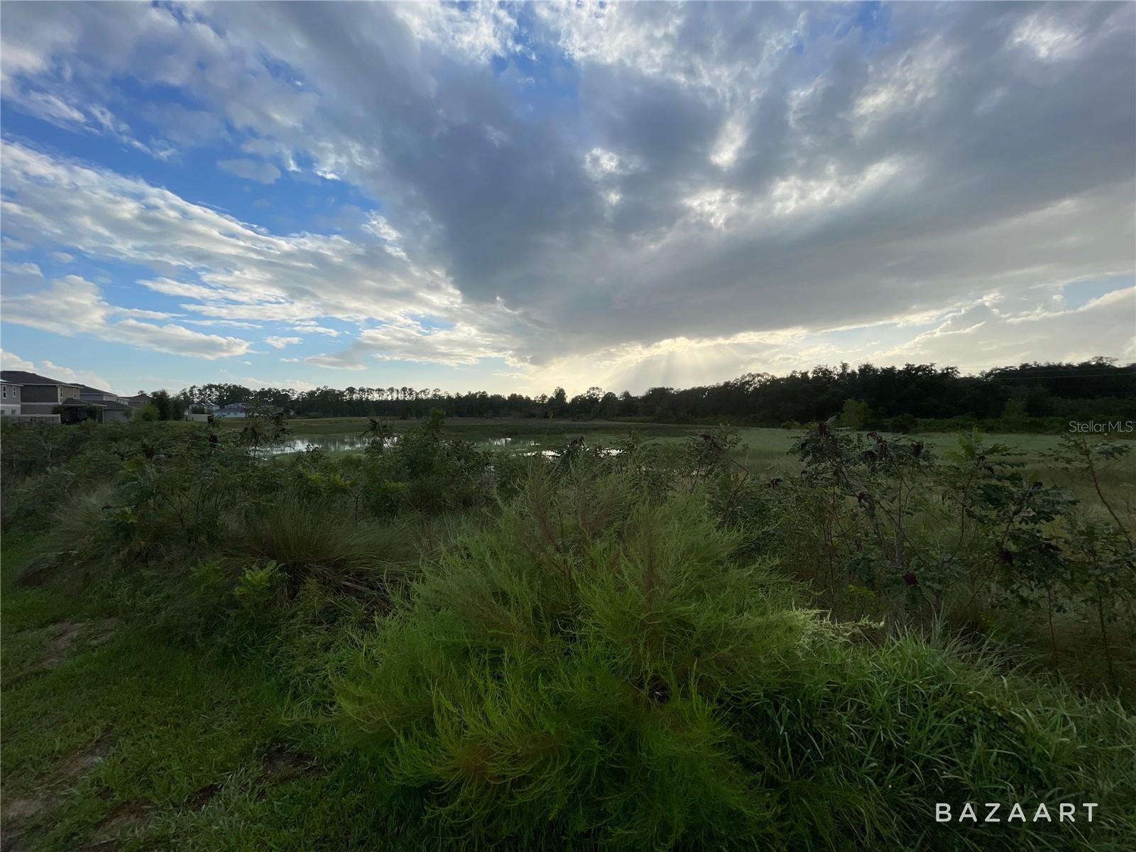1329 SAWGRASS HAMMOCK — photo 12